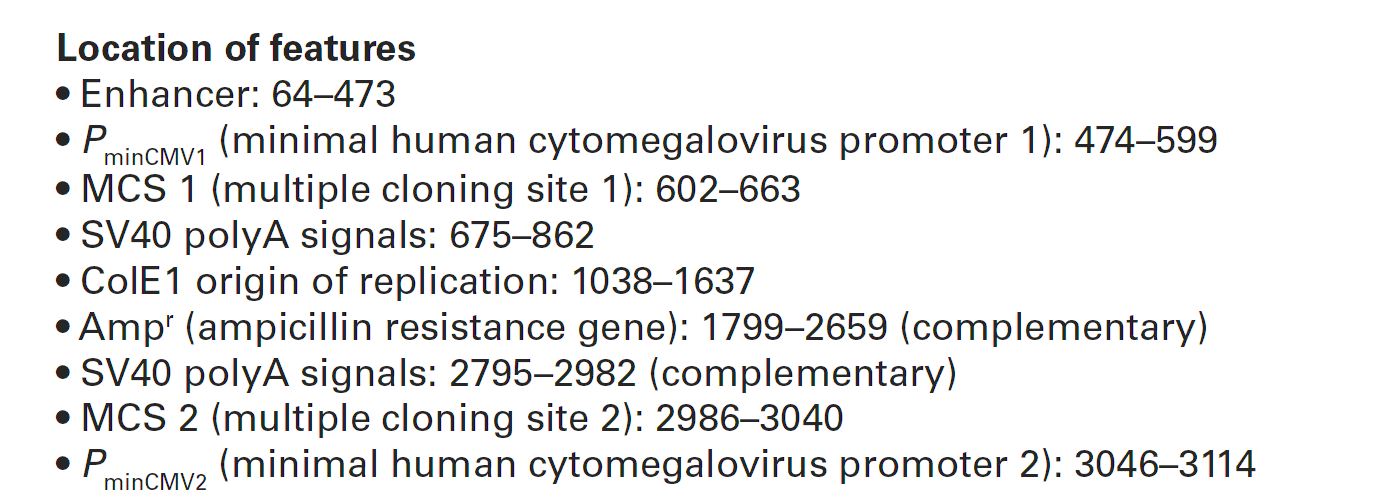 pBI-CMV1 载体特征
